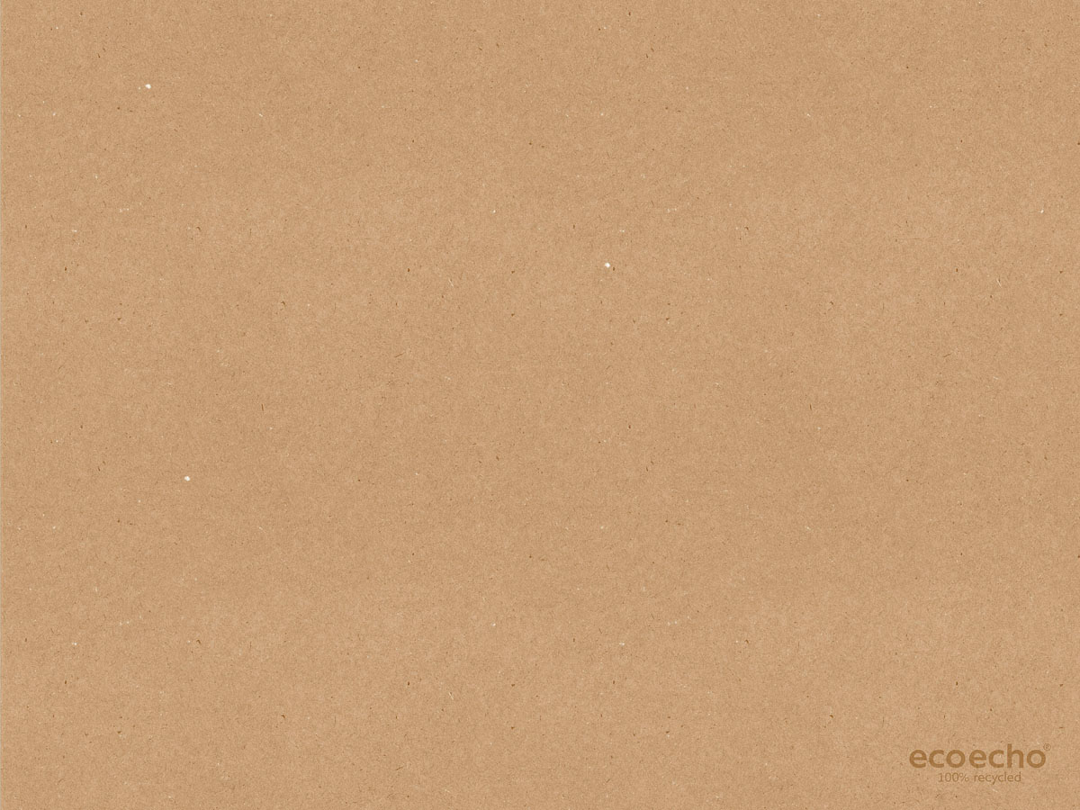 Duni Papier Tischset Recycled 30 x 40 cm echoecho