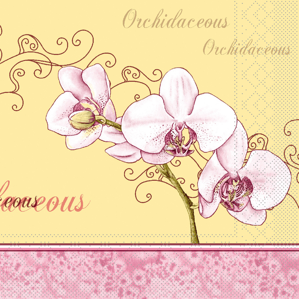 Mank Serviette Orchidee 40 x 40 cm 1/4 Falz