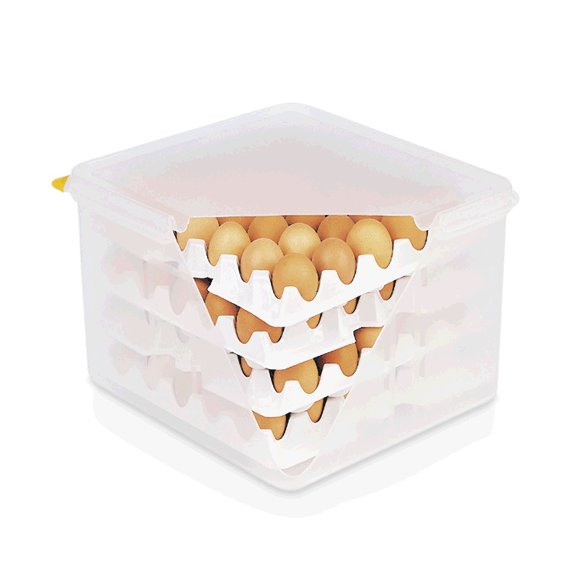 WAS HACCP Eierbox GN 2/3, für 4 Einlagen je 30 Eier, Polypropylen, Polystyrol