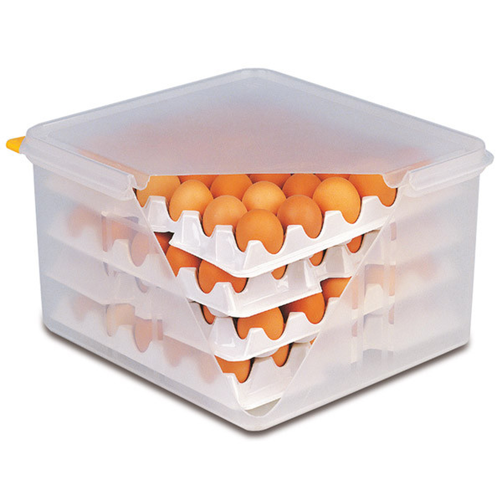 APS GN 2/3 Eier-Box 35,4 x 32,5 cm, H: 20 cm , Polypropylen (Box + Deckel),