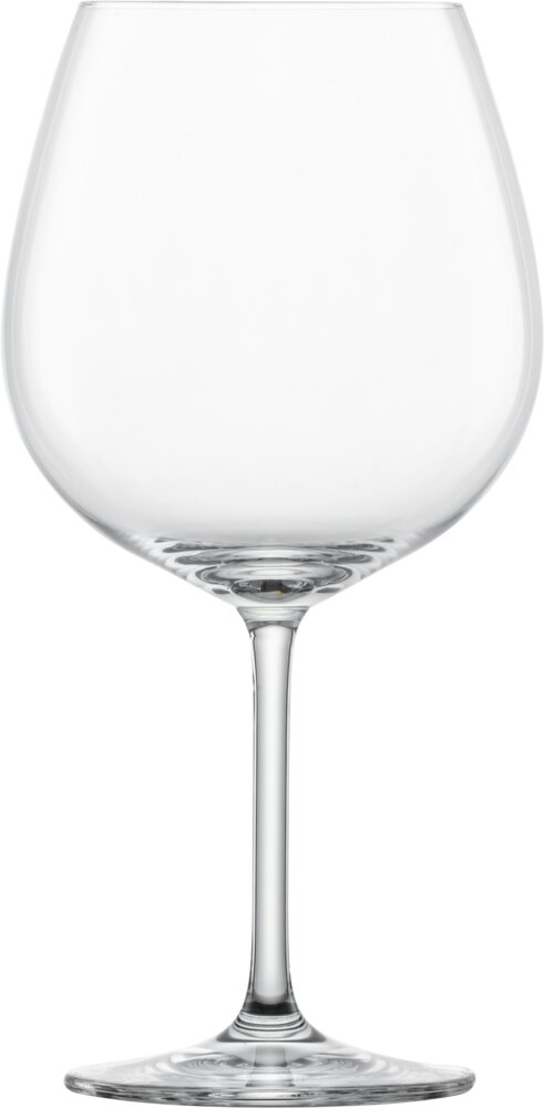 Schott Zwiesel Burgunder Ivento 140