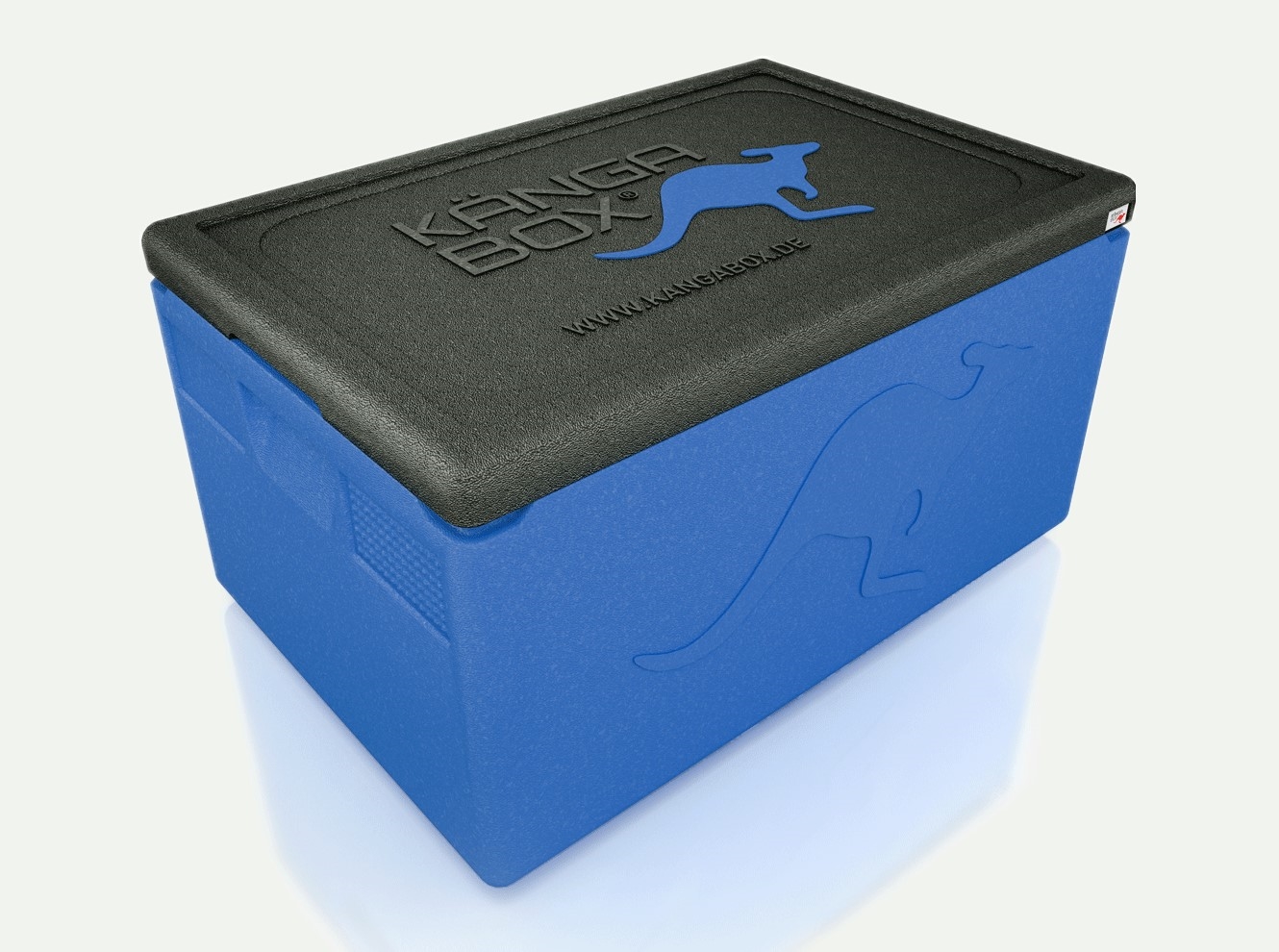 WAS  Kängabox Thermobox Professional GN 1/1, blau, EPP Kunststoff