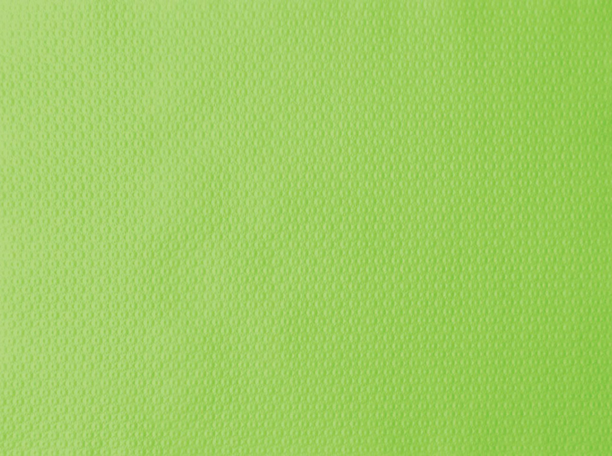 Duni Papier-Tischsets 30 x 40 cm kiwi