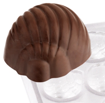 Contacto Pralinenform Schneckenhaus