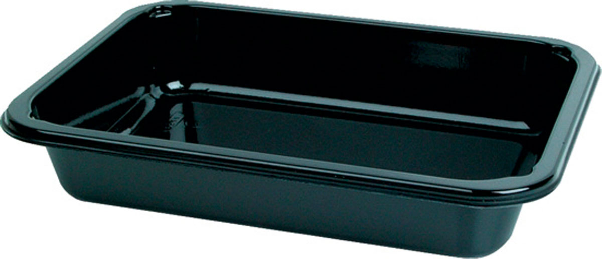 Duni CPET Take-Away klein 187 x 137 x 34 mm