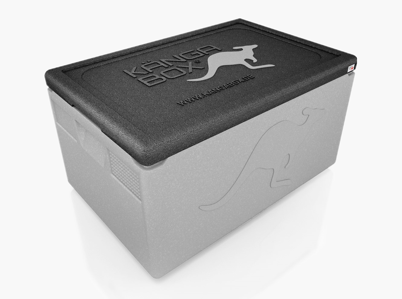 WAS  Kängabox Thermobox Professional GN 1/1, silber, EPP Kunststoff