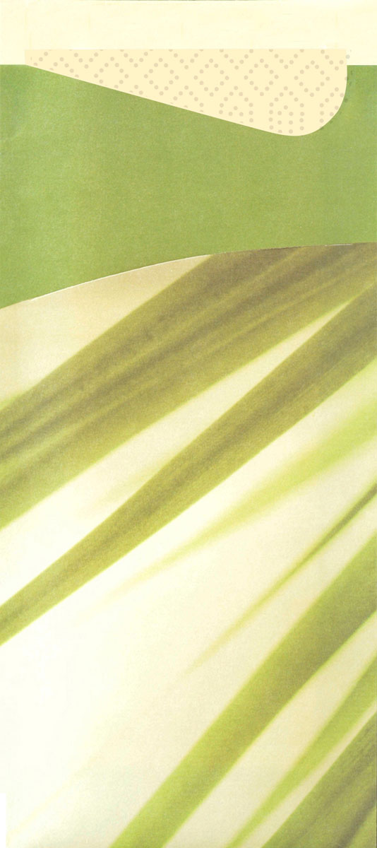 Duni Sacchetto Zelltuch 190 x 85 mm Bamboo