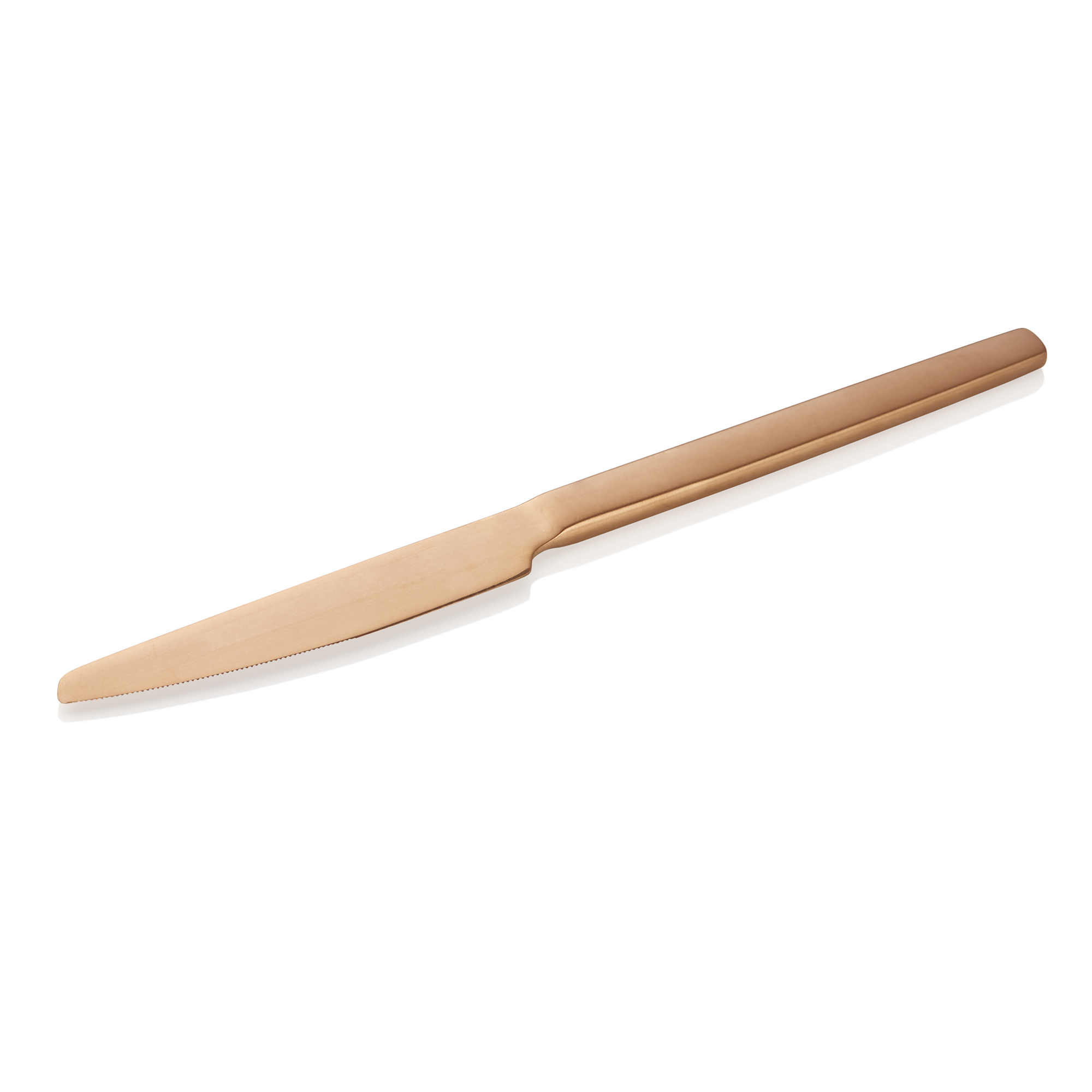 WAS Menümesser ALEX BRONZE, mit bronze, matter PVD Beschichtung, 23 cm, Set á 12