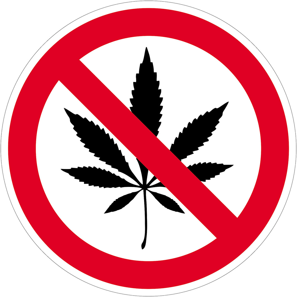 Contacto Hinweis- /Verbotsschilder Cannabisverbot / 20 cm Durchmesser: 20 cm, Au