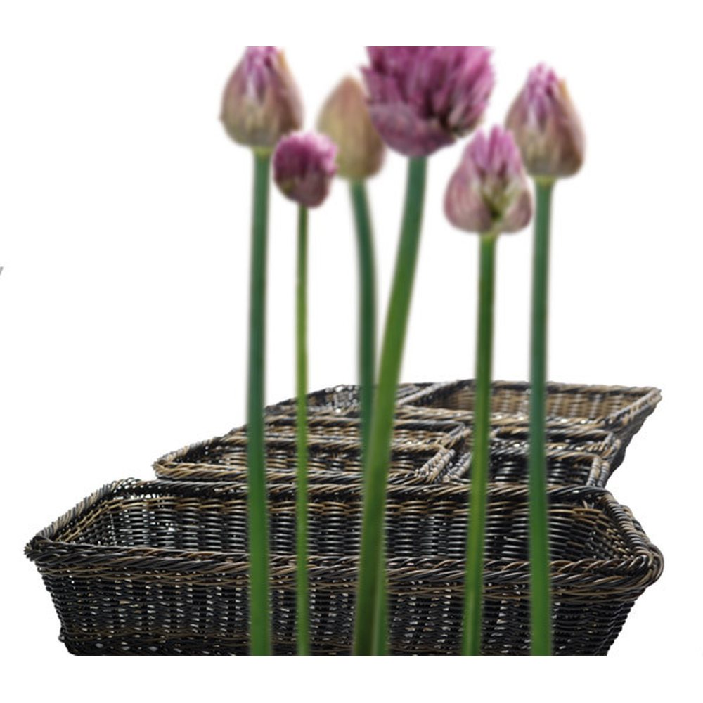 APS GN 1/1 Korb 53 x 32,5 cm, H: 6,5 cm , Polypropylen, schwarz / braun