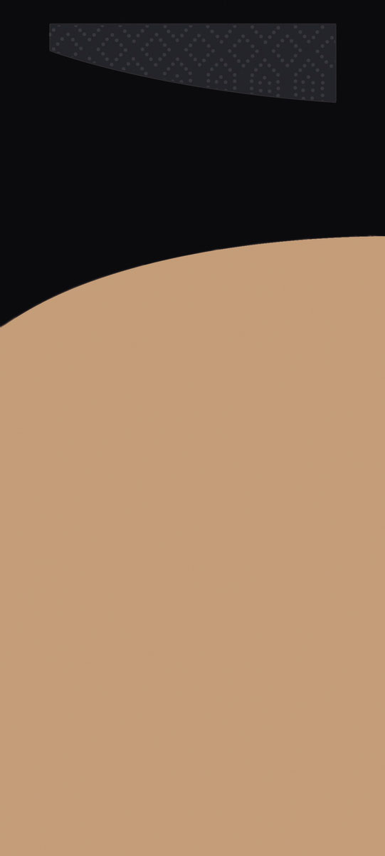 Duni SACCHETTO ZELLTUCH 190 x 85 mm, UNI