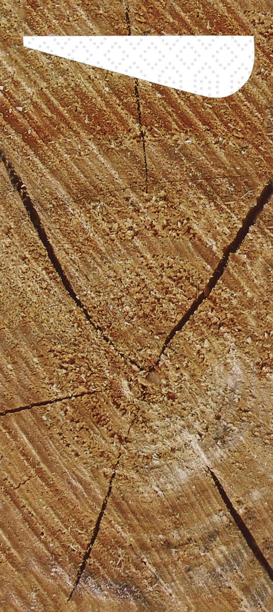 Duni Sacchetto Zelltuch 190 x 85 mm Wood