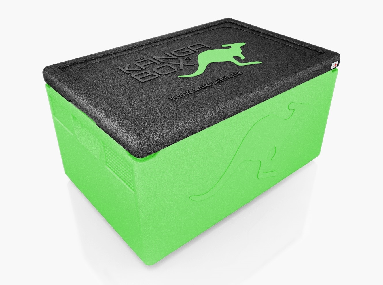 WAS  Kängabox Thermobox Professional GN 1/1, lime, EPP Kunststoff