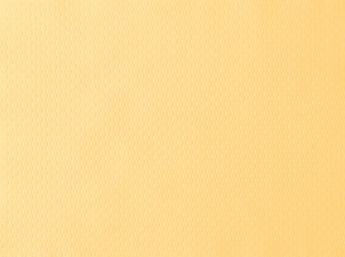 Duni Papier-Tischsets 30 x 40 cm cream