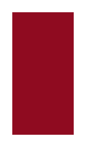 Duni Zelltuchservietten 40 x 40 cm 3-lagig 1/8 Buchfalz bordeaux