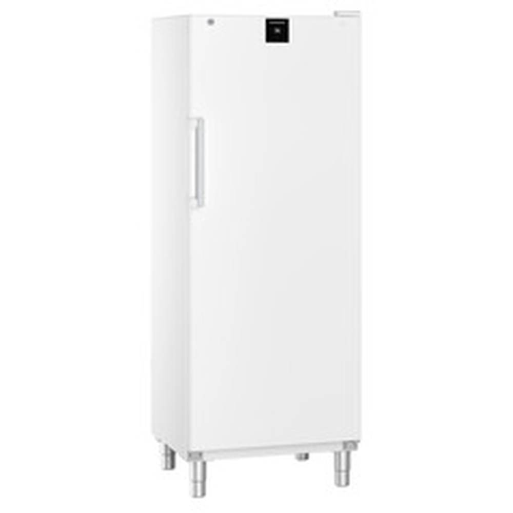 Liebherr Gefrier-Lagerschrank Statische Kühlung FFFsg 6501-40