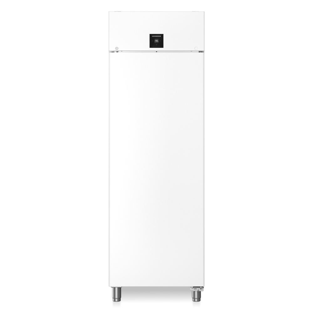 Liebherr Gefrier-lagerschrank Umluftkühlung FFPvg 6501-40