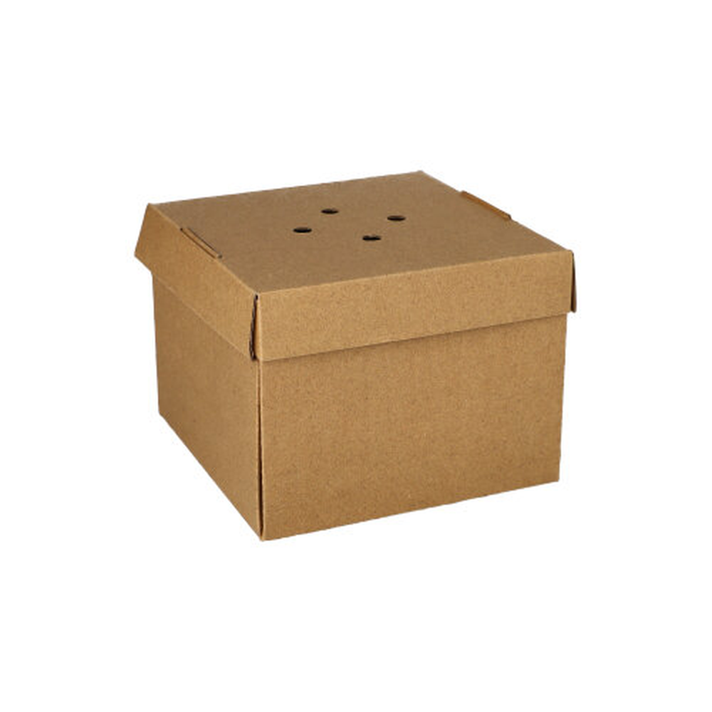 Papstar Burgerboxen, Pappe "pure" 10 cm x 13 cm x 13 cm braun faltbar, klein