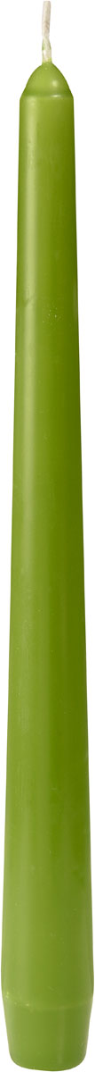 Duni Leuchterkerzen, ca. 7h 250 x 22 mm leaf green