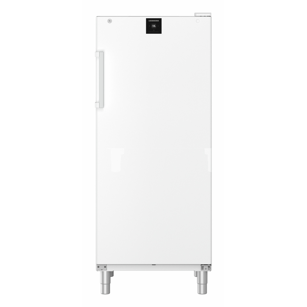 Liebherr Gefrier-lagerschrank Umluftkühlung FFFvg 5501-40