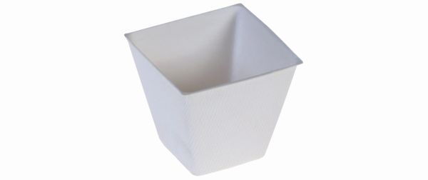 Pacovis Pyramid 60 ml, Zuckerrohr