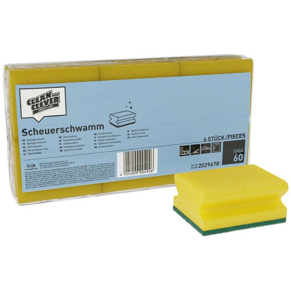 PCH AS60 Scheuerschwamm klein 6er