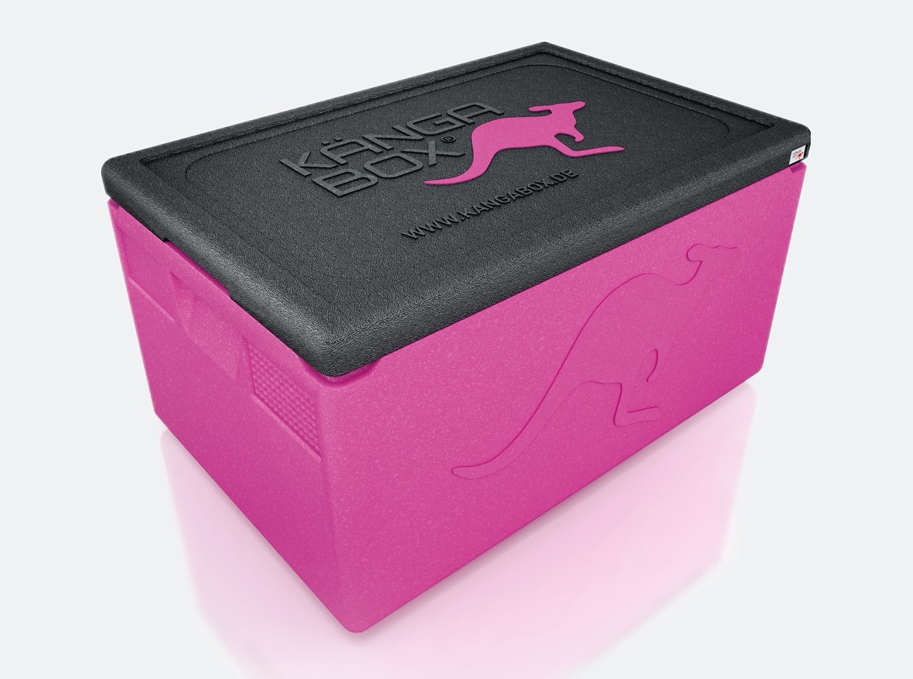 WAS  Kängabox Thermobox Professional GN 1/1, magenta, EPP Kunststoff