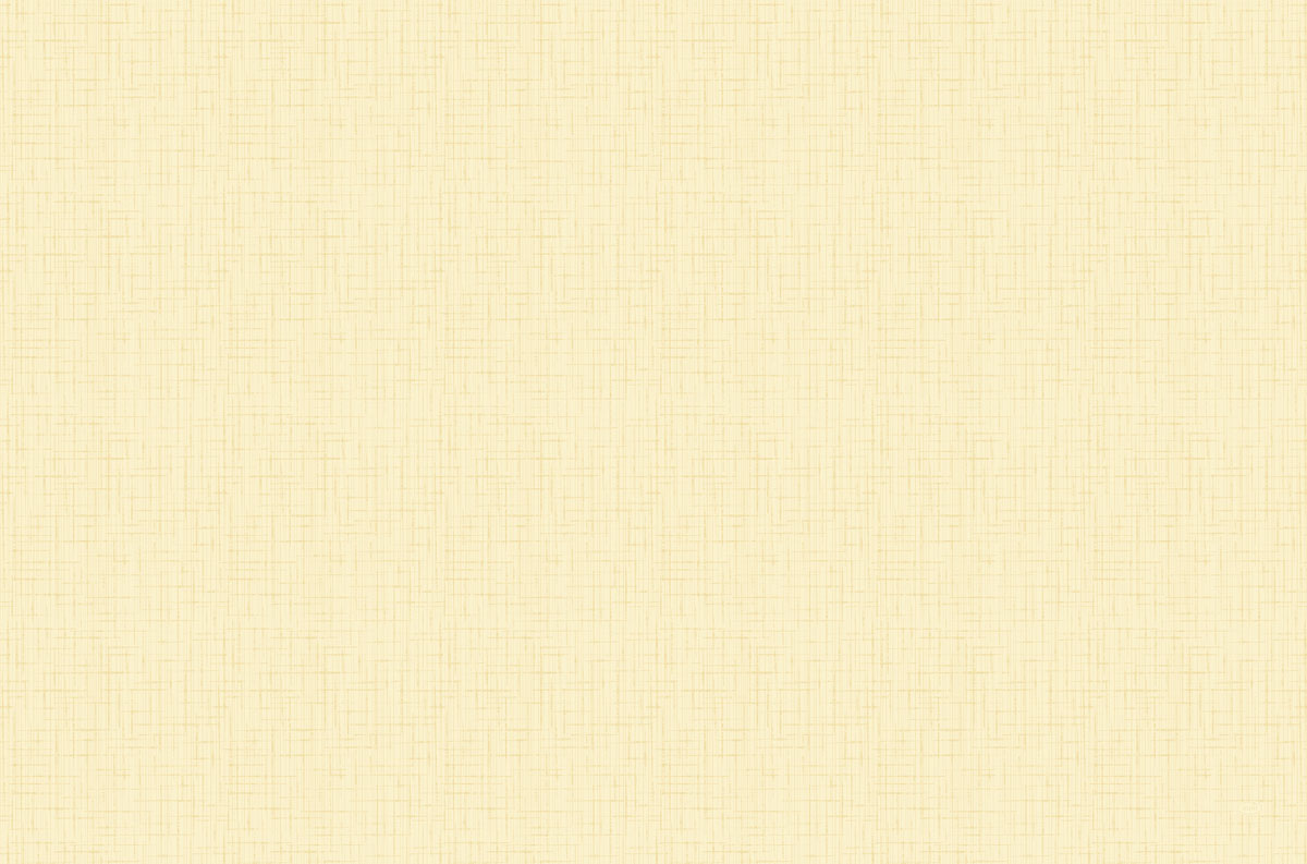 Duni Dunicel-Tischsets XL 40 x 60 cm Linnea cream