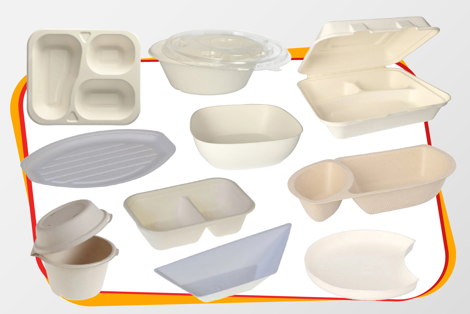 Zuckerrohr / Bagasse - Verpackungen