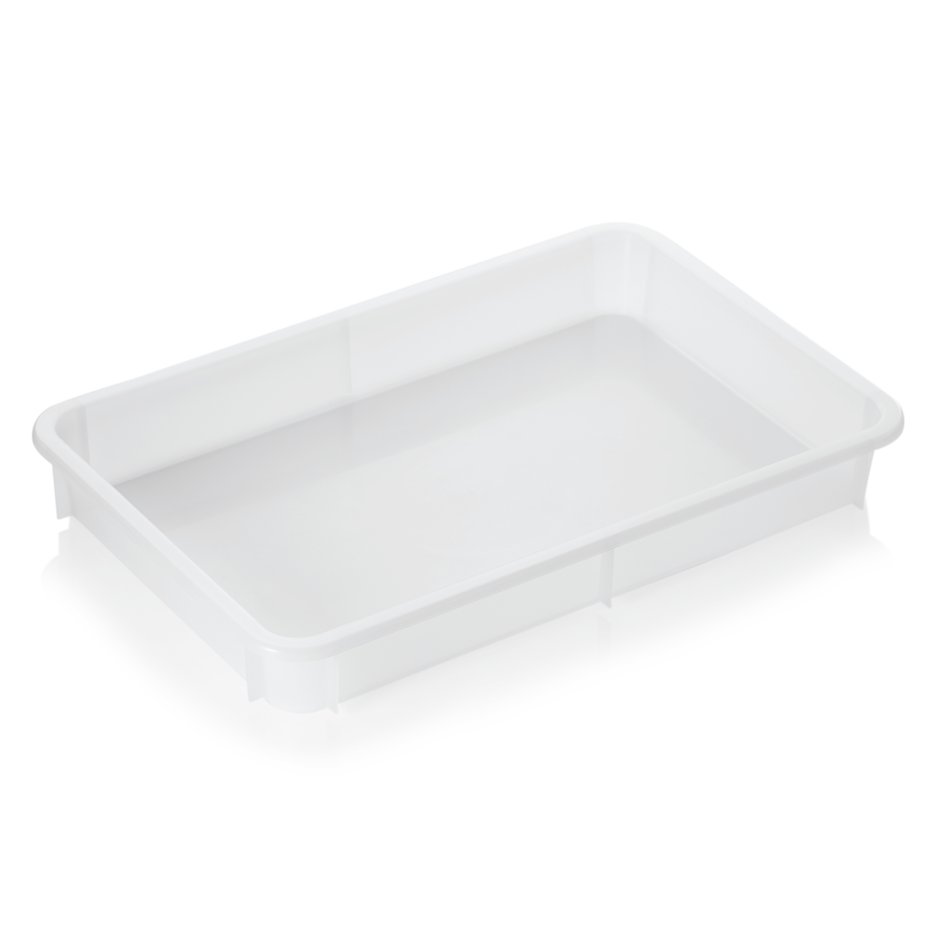 WAS Teig-/Pizzaballenbox, 60 x 40 x 8 cm, Polypropylen