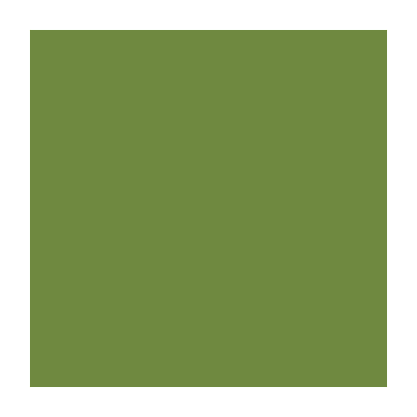 Duni Zelltuchservietten 33 x 33 cm 3-lagig 1/4 Falz leaf green