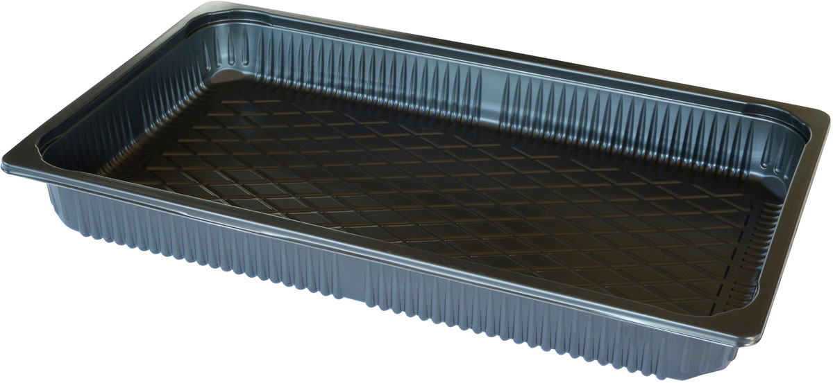 Duni PP-Schale 1/1 GN 530 x 325 x 60 mm