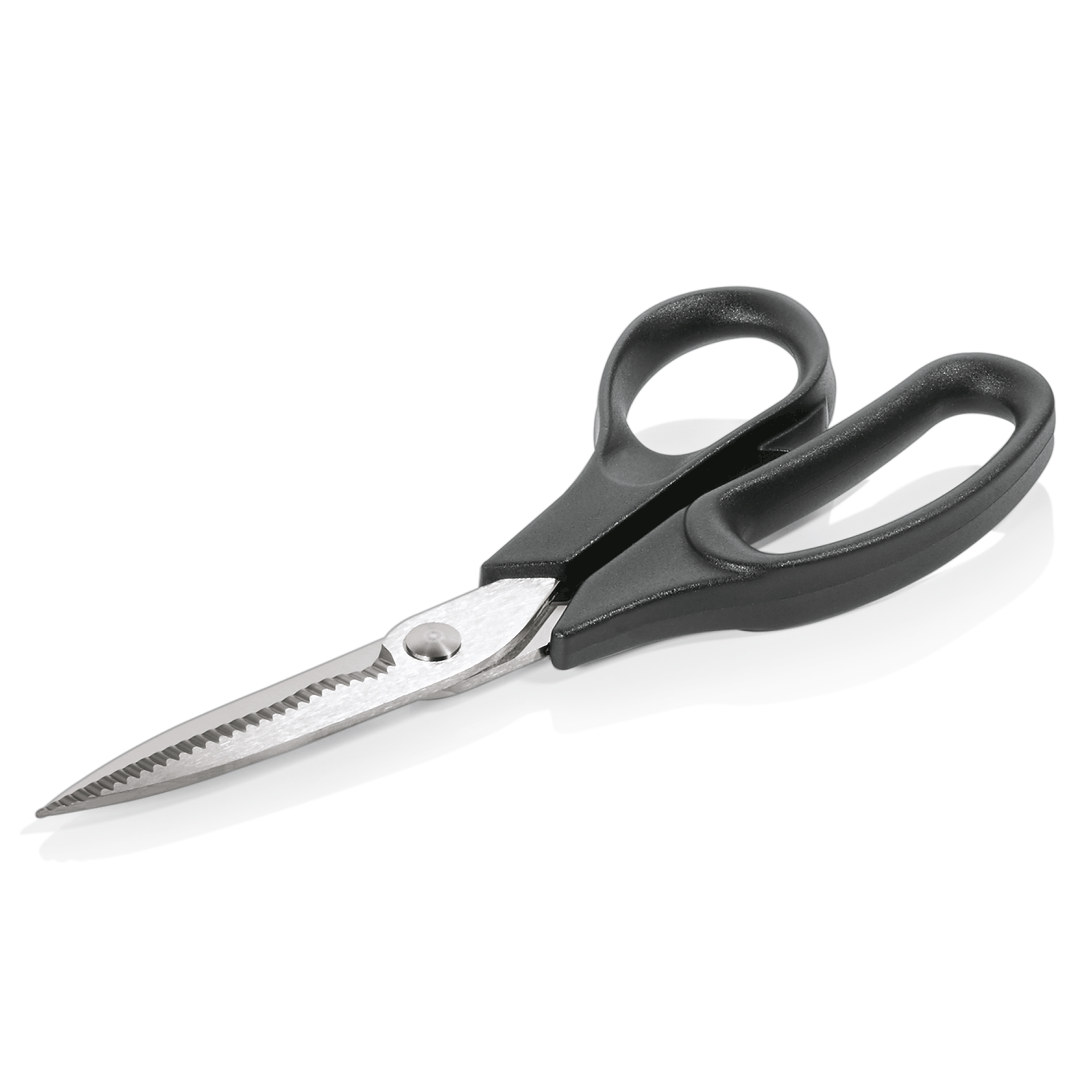 WAS Fischschere, 20 cm, rostfrei