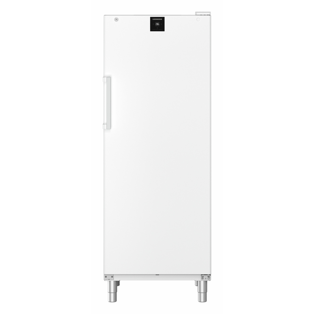 Liebherr Gefrier-lagerschrank Umluftkühlung FFFvg 6501-40