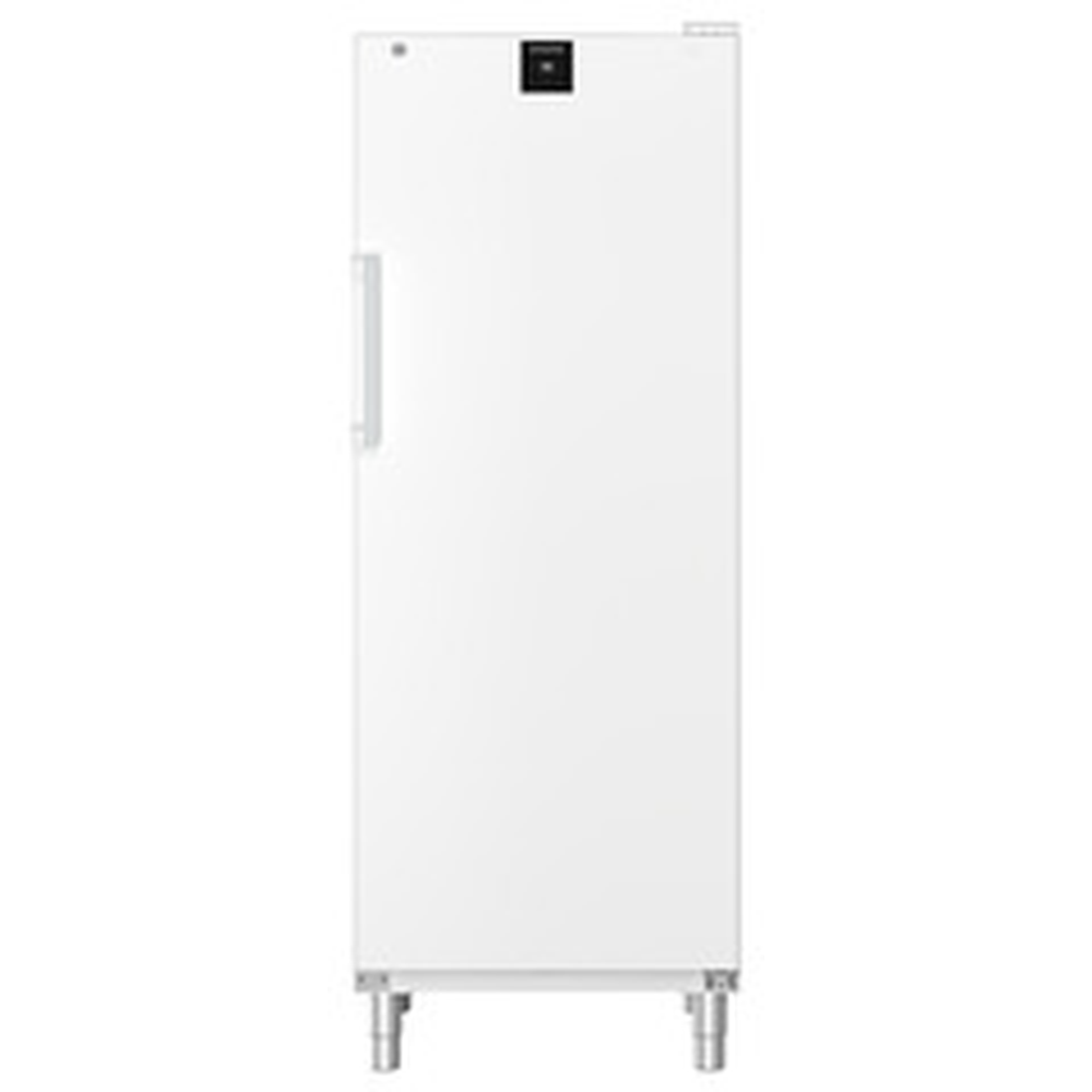Liebherr Gefrier-Lagerschrank Statische Kühlung FFFsg 6501-40