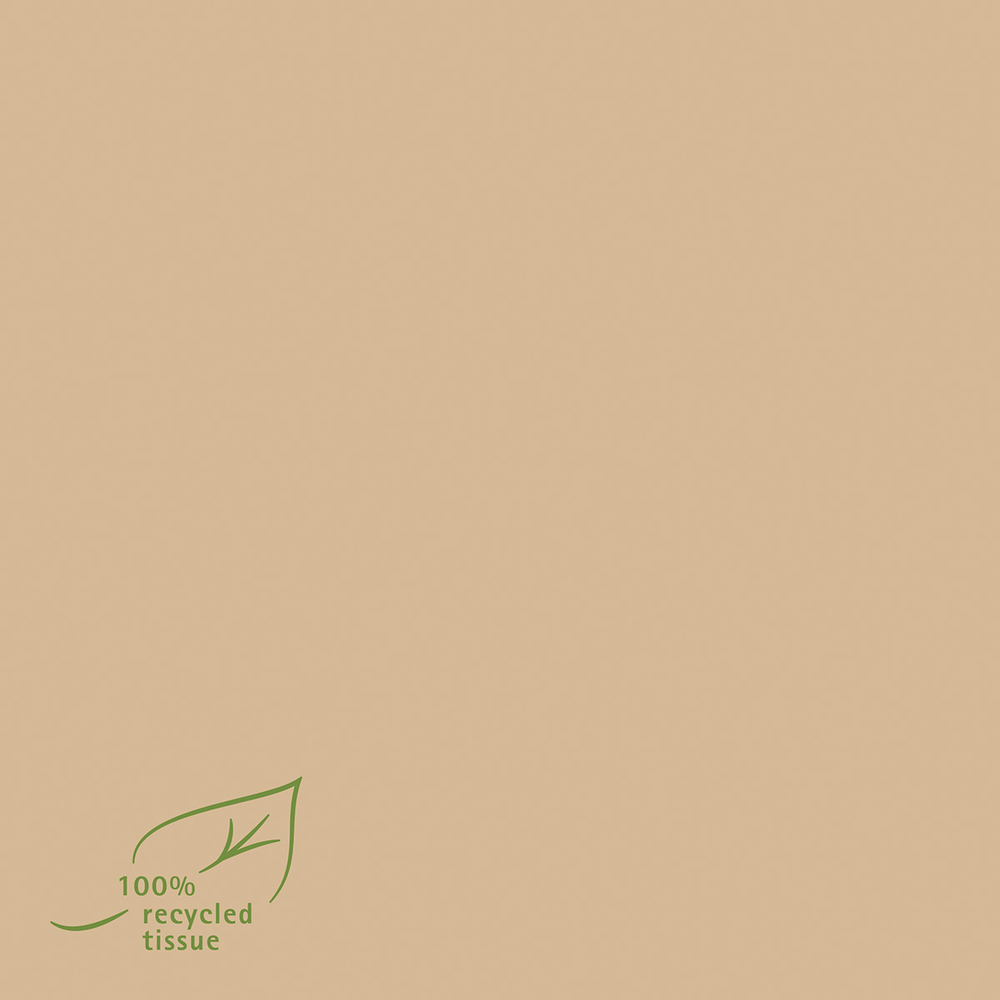 Mank Serviette Recycled Tissue 40 x 40 cm 1/4 Falz