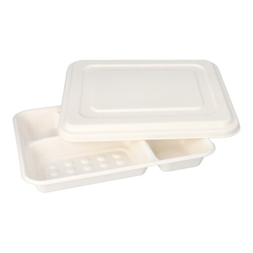Papstar Menü-Trays, Zuckerrohr "pure" 5-geteilt 3,7 cm x 22 cm x 28,2 cm weiss