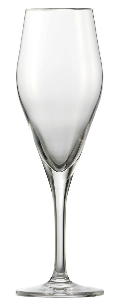 Schott Zwiesel Champagner Audience 77 mit MP