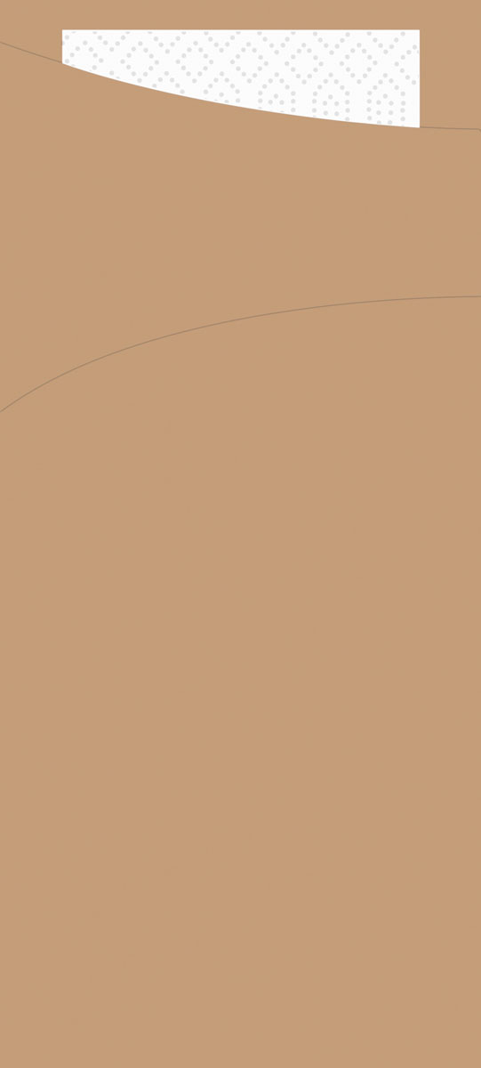 Duni SACCHETTO ZELLTUCH 190 x 85 mm, UNI