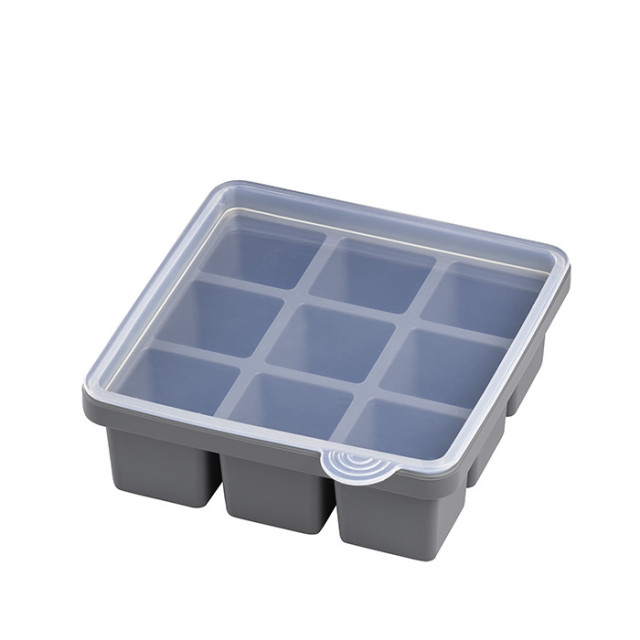 APS Eiswürfelform, 2er Set 15,5 x 15,5 cm, H: 5,5 cm