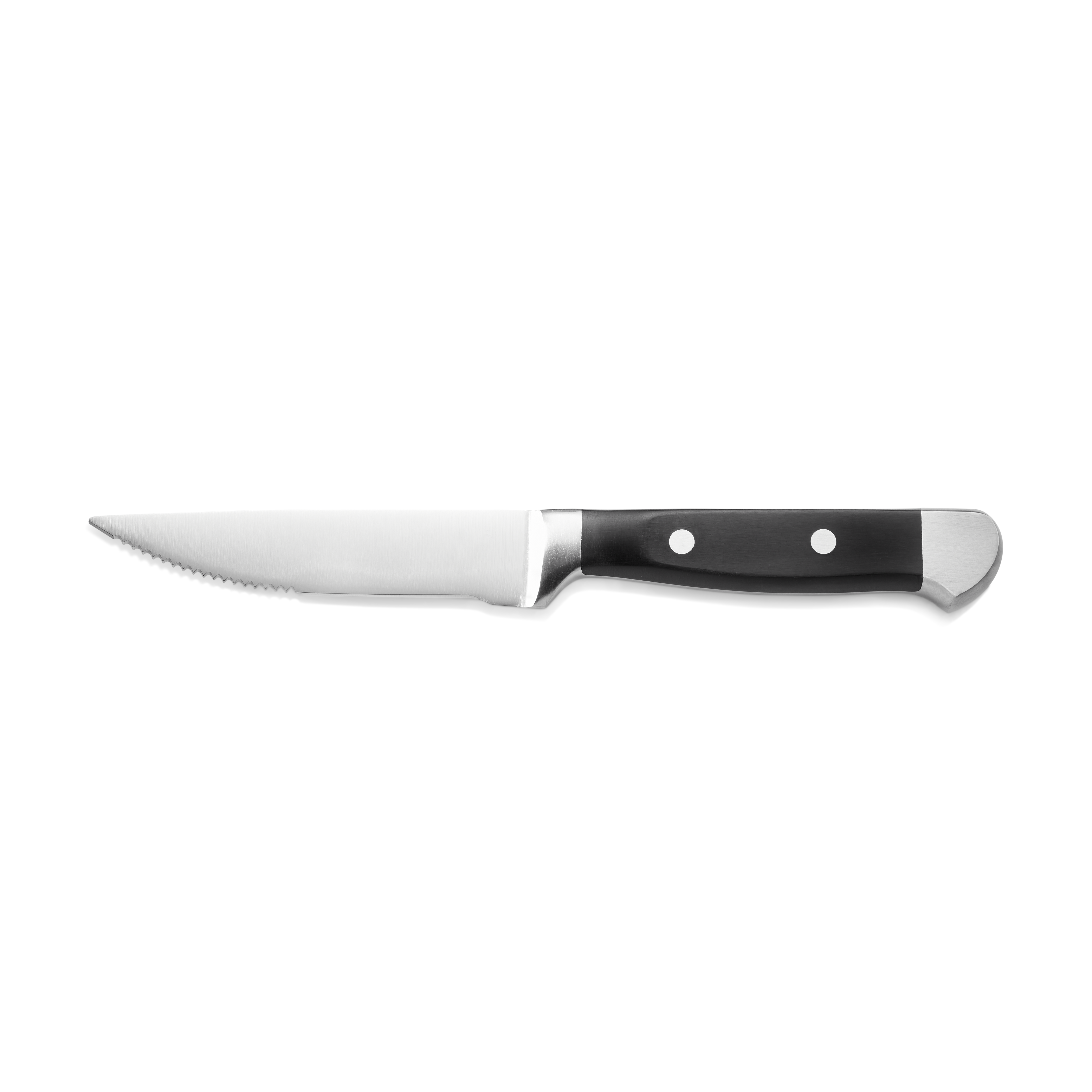 WAS Steakmesser Set mit POM Kunststoffgriff, 25,5 cm, Set á 6 Stück, Polyoxymeth