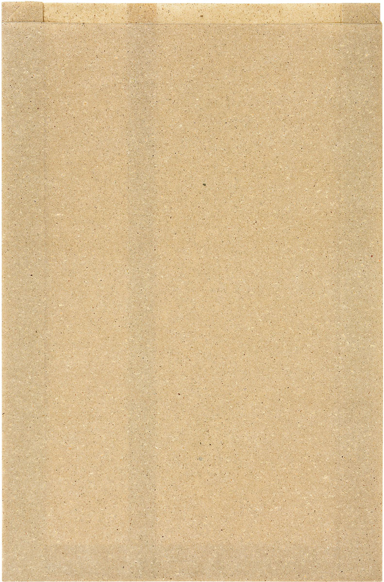Duni Graspapier-Tüte, Bloom Large 450x300mm 450 x 300 mm