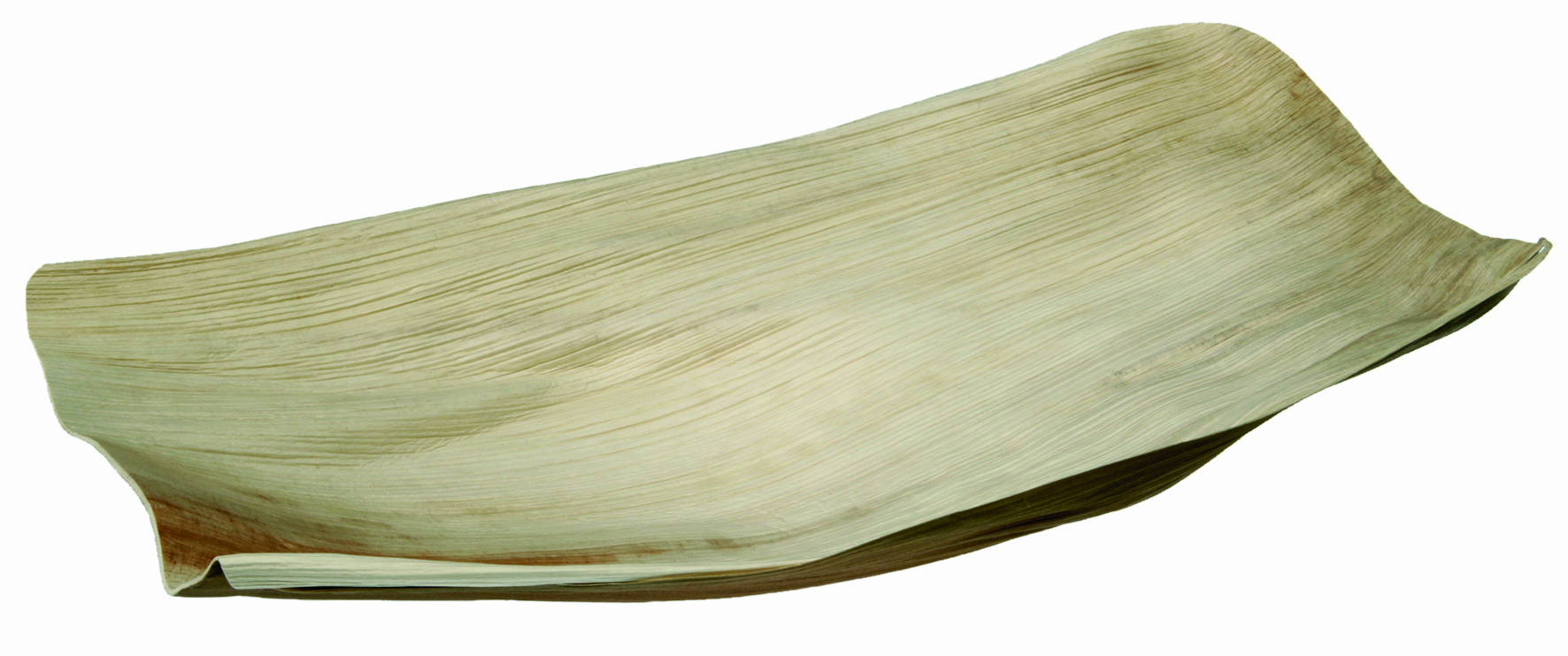 Pacovis Palmblatt ganz, ca. 300x50mm