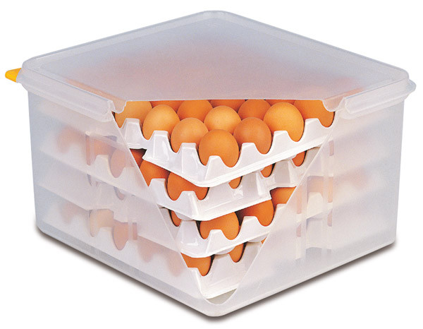 APS GN 2/3 Eier-Box 35,4 x 32,5 cm, H: 20 cm , Polypropylen (Box + Deckel),