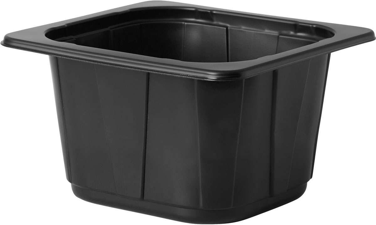 Duni PP Schale 1/6 GN 176 x 162 x 100 mm