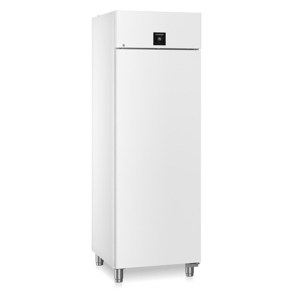 Liebherr Gefrier-lagerschrank Umluftkühlung FFPvg 6501-40