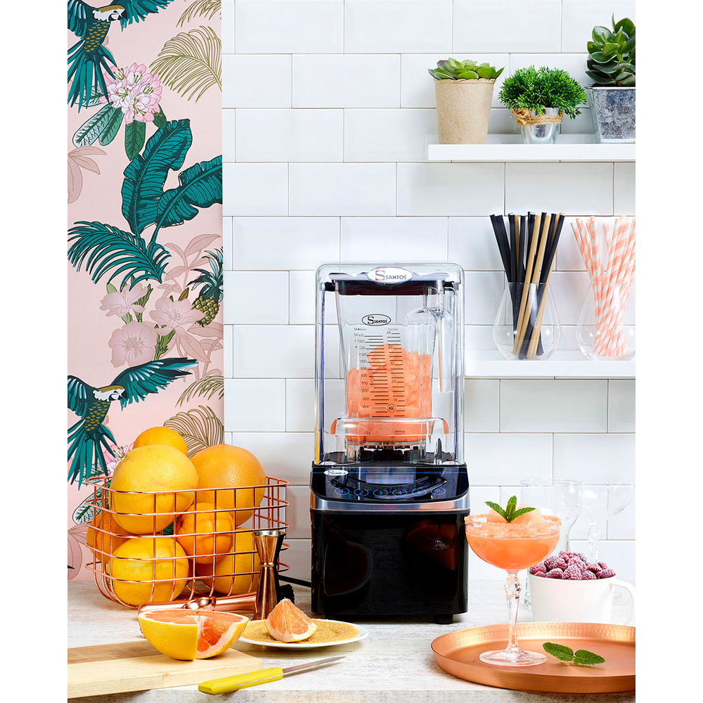 Neumärker Santos Brushless Blender #62