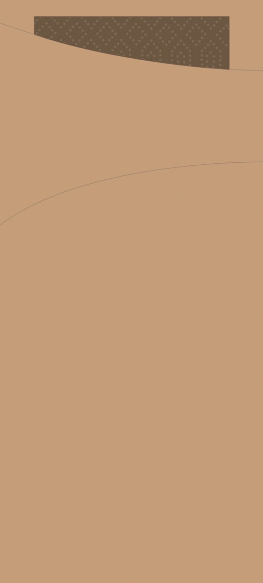 Duni SACCHETTO ZELLTUCH 190 x 85 mm, UNI