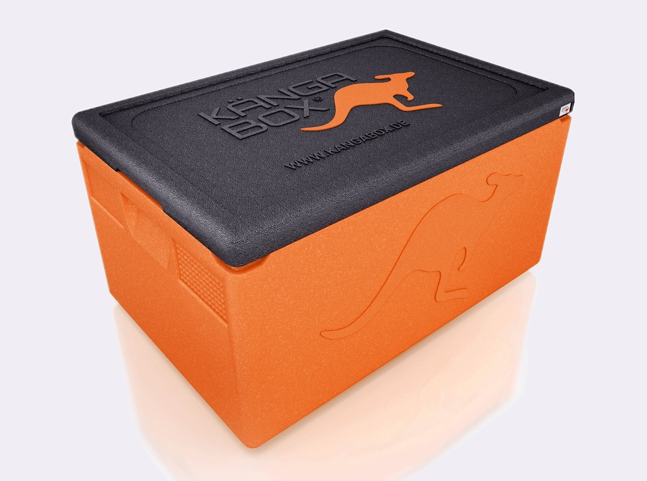 WAS  Kängabox Thermobox Professional GN 1/1, orange, EPP Kunststoff