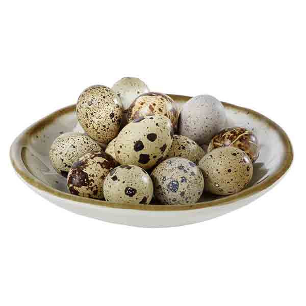 APS Schale -STONE ART- Ø 15,5 cm, H: 2,5 cm , Melamin Ø 15,5 cm, H: 2,5 cm , Mel